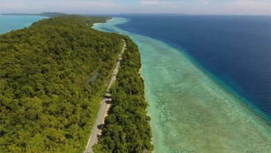 Kalimantan Timur: Destinasi Utama Para Petualang di Dunia Pariwisata Indonesia
