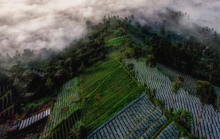 Mengungkap Keajaiban Alam Sukabumi: Petualangan Ekowisata di Jawa Barat