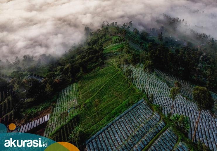 Mengungkap Keajaiban Alam Sukabumi: Petualangan Ekowisata di Jawa Barat