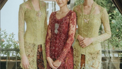 Pembicaraan Presiden Jokowi tentang Kebaya