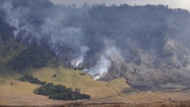 Peristiwa Tragis di Bromo: Kebakaran Savana akibat Pesta Prewedding yang Kelam