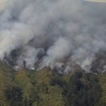 Pemotretan Prewedding di Gunung Bromo Berujung Kebakaran: Memicu Kekesalan di Media Sosial