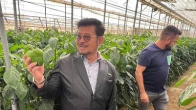 Menteri Pertanian Hilang Sejak Penggeledahan oleh KPK
