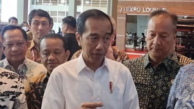 Presiden Jokowi Tidak Bantah Keinginan Bertemu Megawati, Dijembatani Sultan HBW
