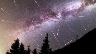 Fenomena Astronomi Memukau di Mei 2024: Dari Hujan Meteor Eta Aquarids hingga Flower Moon