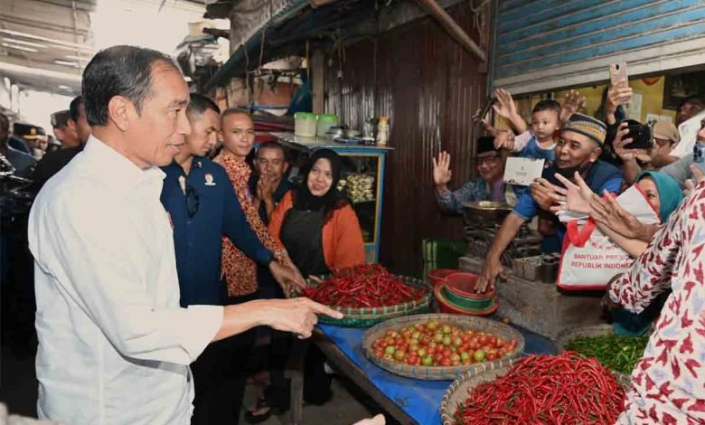 Presiden Jokowi Tinjau Harga Bahan Pokok di Pasar Baru Karawang, Stok Beras Cukup