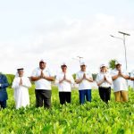 Presiden Jokowi Gandeng Pemimpin Dunia Dalam Konservasi Mangrove di Tahura Ngurah Rai