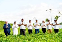 Presiden Jokowi Gandeng Pemimpin Dunia Dalam Konservasi Mangrove di Tahura Ngurah Rai