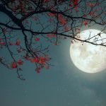 Misteri Asal-Usul Bulan dan Peran Jupiter serta Dampak Theia Dalam Pembentukan Satelit Bumi