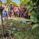 Tragedi Pernikahan di Lampung Tengah: Anggota DPRD Tembak Warga hingga Tewas, Polisi dan Kuasa Hukum Beri Penjelasan