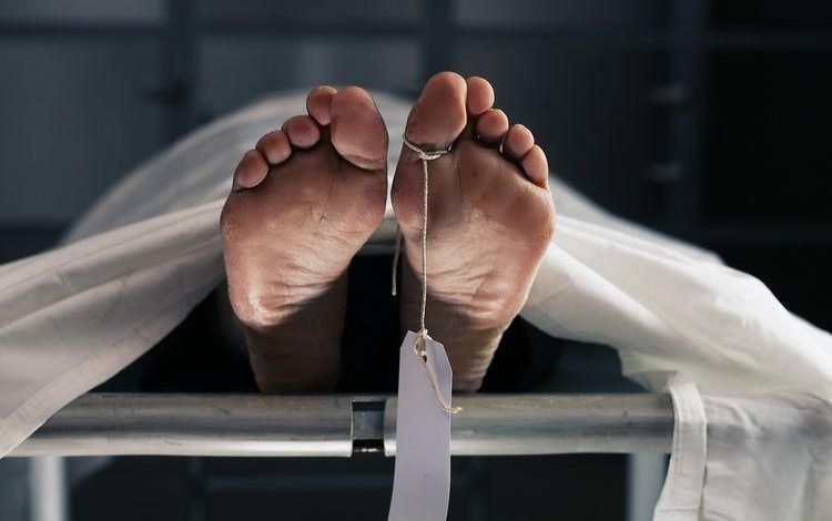 Tragedi di Musi Rawas Utara: Kakek 72 Tahun Tewas Akibat Kepungan Api Saat Bakar Lahan