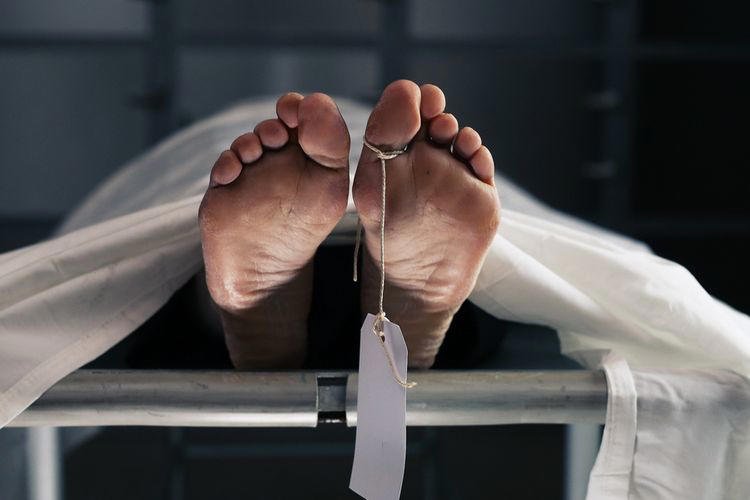 Tragedi di Musi Rawas Utara: Kakek 72 Tahun Tewas Akibat Kepungan Api Saat Bakar Lahan