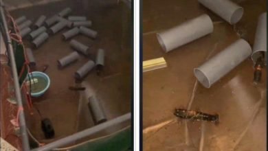 Pemilik Kos di Malang Syok Saat Gerebek Kamar Penghuni yang Nunggak 2 Bulan, Temukan Bau Tak Sedap dan Benda Tak Lazim