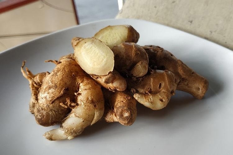 7 Manfaat Kencur untuk Kesehatan: Dari Batuk hingga Mencegah Sel Kanker