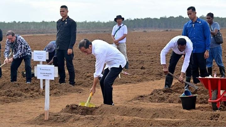 Proyek Tebu di Merauke Era Jokowi: Ratusan Ribu Hektare Hutan Papua Dirusak untuk Swasembada