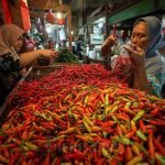 Harga Pangan Pekan Pertama Oktober 2024: Beras Masih Tinggi, Ikan Kembung dan Telur Meroket