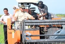 Presiden Prabowo Subianto Tinjau Pengembangan Pertanian Berkelanjutan di Merauke, Papua Selatan