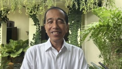 Jokowi Temui Puan Maharani di Peluncuran Danantara: Singkat dan Hanya Saling Sapa