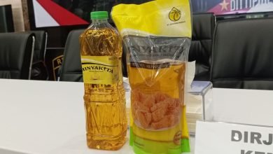 Bareskrim Polri Tetapkan Tersangka dalam Kasus Minyakita Disunat, 10.560 Liter Disita