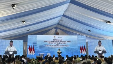 Presiden Prabowo Resmikan KEK Industropolis Batang, Targetkan Investasi Rp 75,8 Triliun