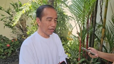 Jokowi Tegaskan Prabowo-Gibran Menang Sah, Tanggapi Santai Isu Pemakzulan Gibran