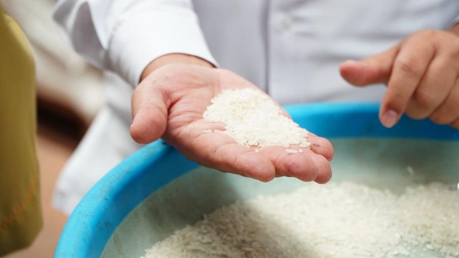 Beras Oplosan Tak Sesuai Standar Premium, Pemerintah Dorong Penyesuaian Harga Bukan Penarikan