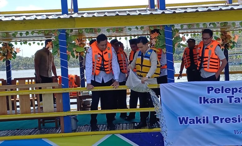 Gibran Rakabuming Tebar 50 Ribu Benih Ikan di Rowo Jombor, Dorong Ekologi dan Ekonomi Lokal