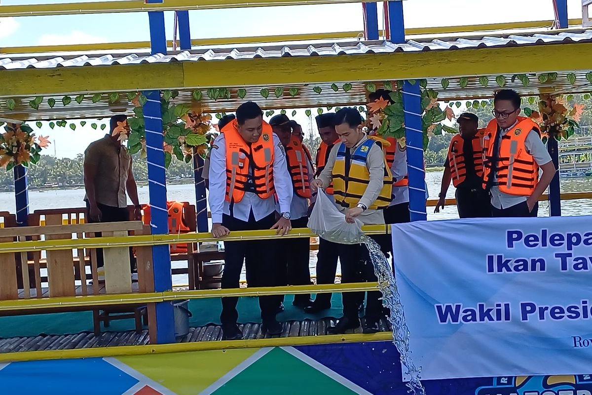 Gibran Rakabuming Tebar 50 Ribu Benih Ikan di Rowo Jombor, Dorong Ekologi dan Ekonomi Lokal