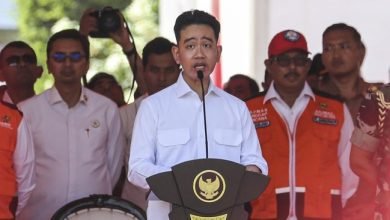Wapres Gibran Dapat Tugas Khusus Tangani Papua, Berpeluang Buka Kantor di Bumi Cenderawasih