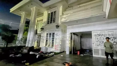 Rumah Uya Kuya di Duren Sawit Dijarah Massa, Kucing Peliharaan Ikut Raib