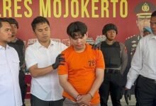 Mutilasi Sadis di Surabaya-Mojokerto: Alvi Maulana Bunuh Pacar Lalu Potong Jasad Jadi Ratusan Bagian