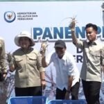 Wapres Gibran dan Titiek Soeharto Hadiri Panen Perdana Lobster di Batam
