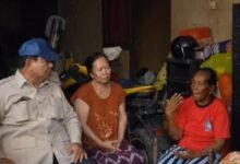Presiden Prabowo Subianto Tinjau Korban Banjir di Bali, Janjikan Bantuan untuk Warga Terdampak