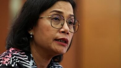 Sri Mulyani: Lukisan Bunga Saya Hilang, Bersama Rasa Aman dan Kemanusiaan