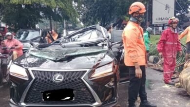 Pengemudi Mobil Lexus Meninggal Usai Tertimpa Pohon Tumbang di Pondok Indah