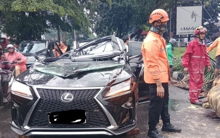 Pengemudi Mobil Lexus Meninggal Usai Tertimpa Pohon Tumbang di Pondok Indah