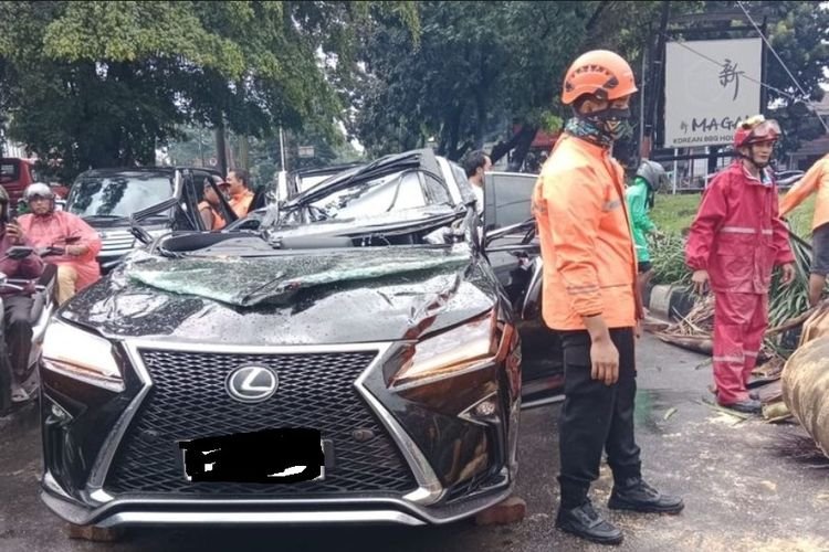 Pengemudi Mobil Lexus Meninggal Usai Tertimpa Pohon Tumbang di Pondok Indah