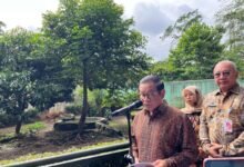 Gubernur DKI Pramono Anung Pastikan Harimau di Ragunan Sehat, Bantah Isu Pakan Dibawa Pulang Petugas