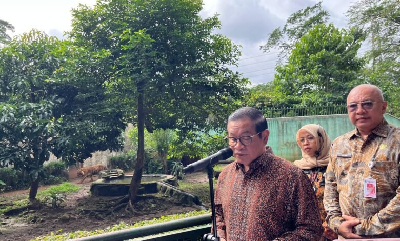 Gubernur DKI Pramono Anung Pastikan Harimau di Ragunan Sehat, Bantah Isu Pakan Dibawa Pulang Petugas
