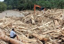 Viral Kayu Gelondongan Hanyut di Banjir Sumatera, Mendagri Tito Karnavian Minta Investigasi Mendalam