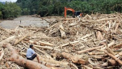 Viral Kayu Gelondongan Hanyut di Banjir Sumatera, Mendagri Tito Karnavian Minta Investigasi Mendalam
