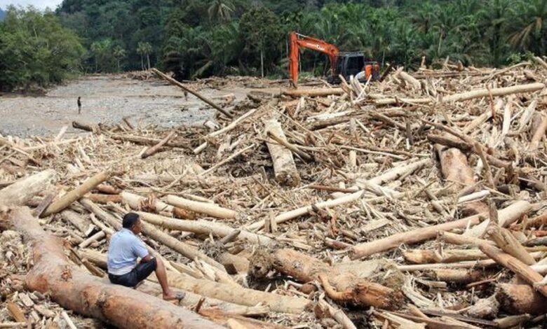 Viral Kayu Gelondongan Hanyut di Banjir Sumatera, Mendagri Tito Karnavian Minta Investigasi Mendalam