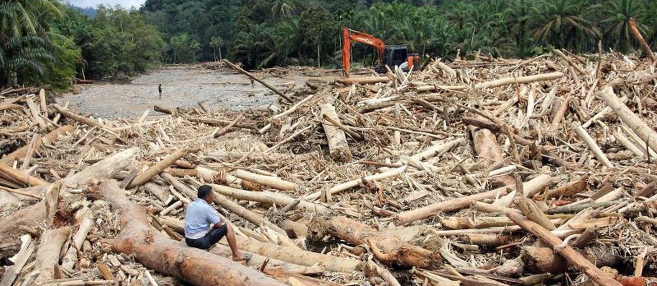 Viral Kayu Gelondongan Hanyut di Banjir Sumatera, Mendagri Tito Karnavian Minta Investigasi Mendalam