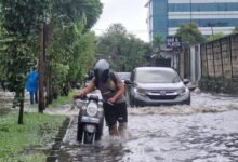 Banjir Jakarta Surut, BPBD Pastikan Aktivitas Warga Kembali Normal