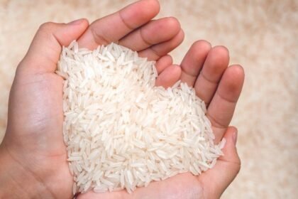 Mengenal Beras Fortifikasi, Benarkah Lebih Sehat dari Beras Biasa?